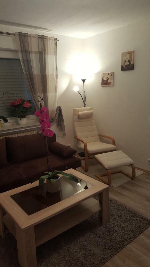 Ochmanns Ferienwohnung Meschede Exteriör bild